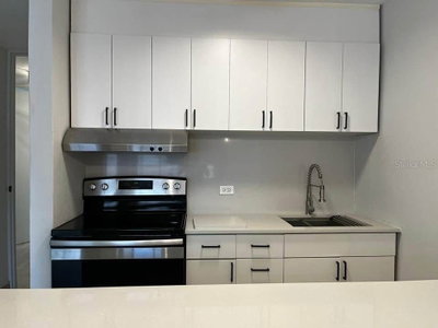 73 CALLE KRUG, San Juan, PR, 00911 — photo 2