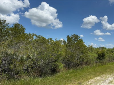 SARASOTA Drive, Indian Lake Estates, FL, 33855 — photo 2