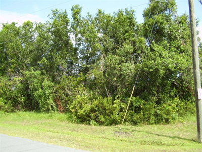 801 CARROUSEL Lane, Kissimmee, FL, 34759 — photo 2