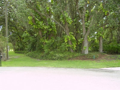 410 ANISE Place, Kissimmee, FL, 34759 — photo 2