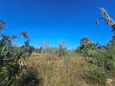786 FORT FLORIDA Road, Debary, FL, 32713 — photo 2