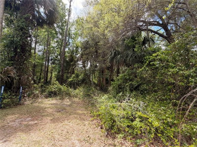 COUNTY ROAD 445A, Astor, FL, 32102 — photo 2