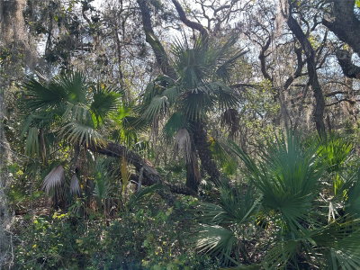COUNTY ROAD 445A, Astor, FL, 32102 — photo 2