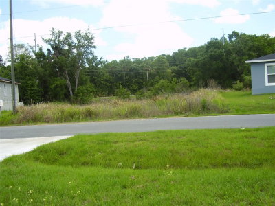 1409 TEAL Drive, Kissimmee, FL, 34759 — photo 2