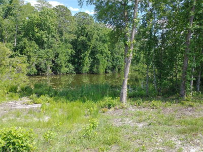 0000 EAGLE Boulevard, Land O Lakes, FL, 34639 — photo 2
