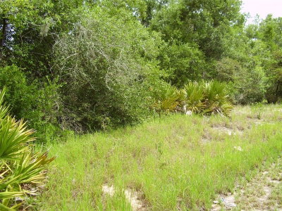1457 KISSIMMEE Way, Kissimmee, FL, 34759 — photo 2