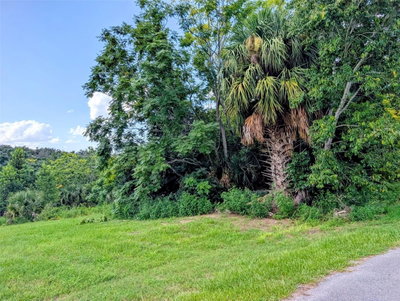 GREEN BRIAR Drive, Lady Lake, FL, 32159 — photo 2