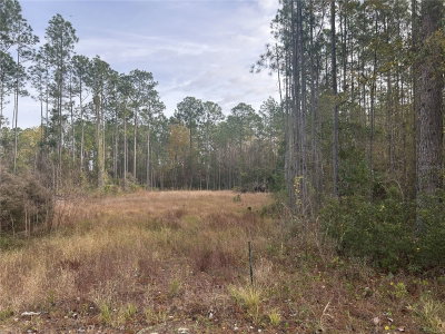75726 EDWARDS Road, Yulee, FL, 32097 — photo 2
