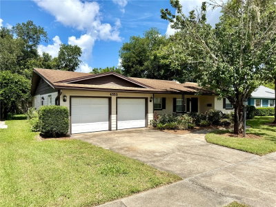 4332 BLONIGEN Avenue, Orlando, FL, 32812 — photo 2