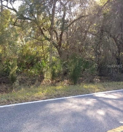35118 RICHARDSON Boulevard, Webster, FL, 33597 — photo 2