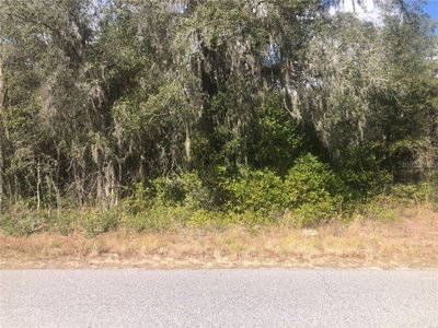 6092 IDLE A WHILE Circle, Dade City, FL, 33523 — photo 2