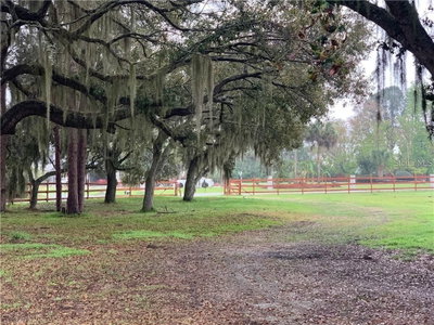 MARJORIE Road, Saint Cloud, FL, 34772 — photo 2