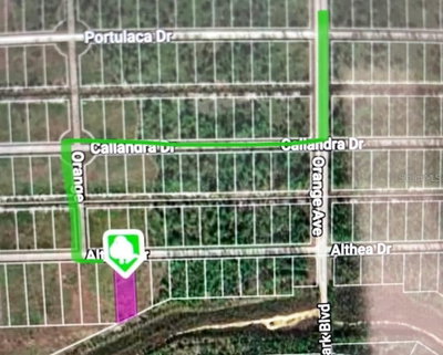 ALTHEA Drive, Lake Wales, FL, 33898 — photo 2
