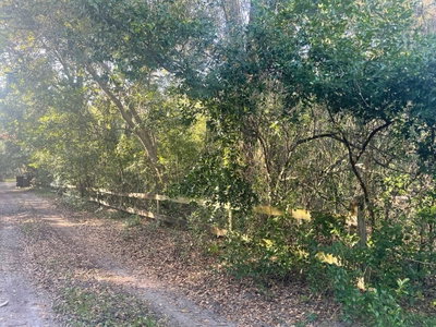 6534 BOOTH Lane, Orlando, FL, 32810 — photo 2