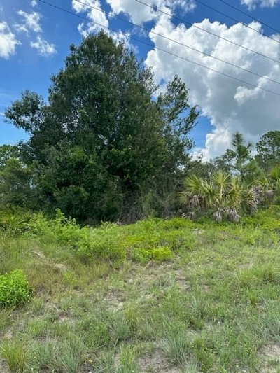 230 COLUMBUS Boulevard, Lehigh Acres, FL, 33974 — photo 2