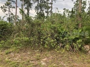 20581 246TH Street, Okeechobee, FL, 34972 — photo 2