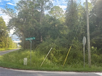 7374 WILLOUGHBY Drive, Webster, FL, 33597 — photo 2
