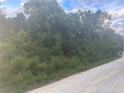 6175 FAIRWAY Drive, Ridge Manor, FL, 33523 — photo 2