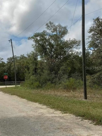 NORWAY Street, Webster, FL, 33597 — photo 2