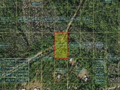 SUBURBAN ESTS SEC 19...4341 001F, St Cloud, FL, 34771 — photo 2