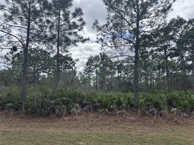 ALLAMANDA LOT 11 Drive, Indian Lake Estates, FL, 33855 — photo 2