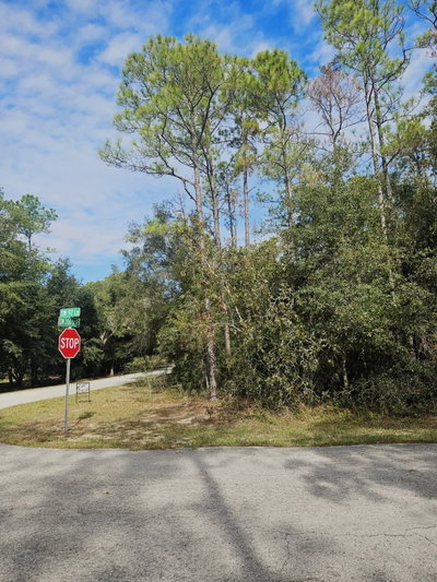 SOUTHWEST 206TH COURT RD, Dunnellon, FL, 34431 — photo 2