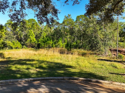 7161 OAK GLEN TRL, St Cloud, FL, 34773 — photo 2