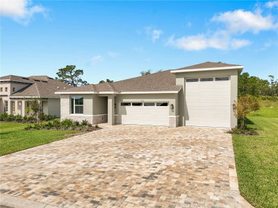 9005 PLAYERS Drive, Weeki Wachee, FL, 34613 — photo 2
