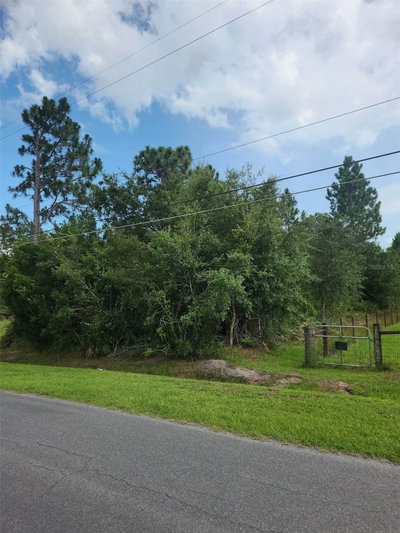 RALSTON Street, Orlando, FL, 32833 — photo 2