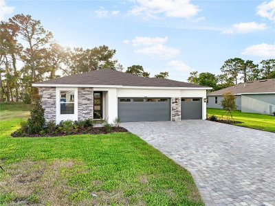 9127 PLAYERS Drive, Weeki Wachee, FL, 34613 — photo 2