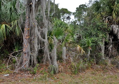 SHADY Avenue, North Port, FL, 34286 — photo 2