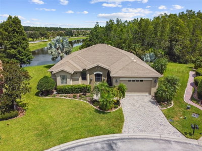 313 SANTA BARBARA Lane, Kissimmee, FL, 34759 — photo 2