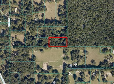 UNDETERMINED, Ocala, FL, 34480 — photo 2