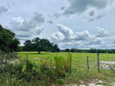 ALTURAS BABSON PARK CUT-OFF, Bartow, FL, 33830 — photo 2