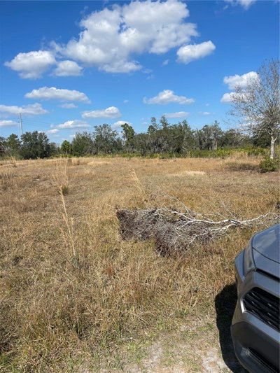 HAMMERMILL Avenue, Lake Wales, FL, 33859 — photo 2