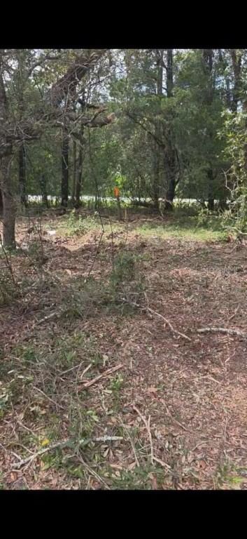 112 Place, Ocklawaha, FL, 32179 — photo 2