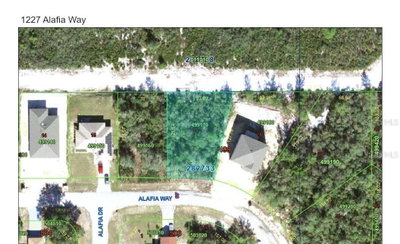 1227 ALAFIA Way, Kissimmee, FL, 34759 — photo 2