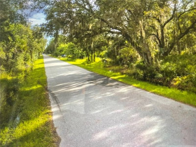 3233 DOUGLAS Road, Port Charlotte, FL, 33980 — photo 2