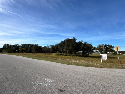 FAST TROT Trail, Lake Wales, FL, 33898 — photo 2