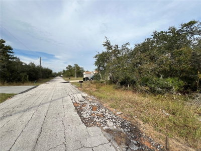 1205 ALAFIA Way, Kissimmee, FL, 34759 — photo 2