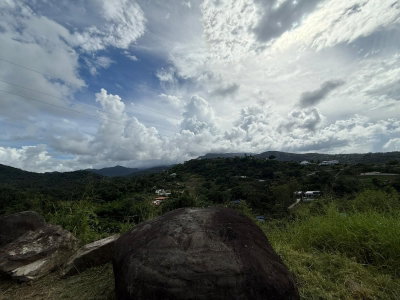 10 RAINFOREST AND SEA VIEW RESORT,, Luquillo, PR, 00773 — photo 2