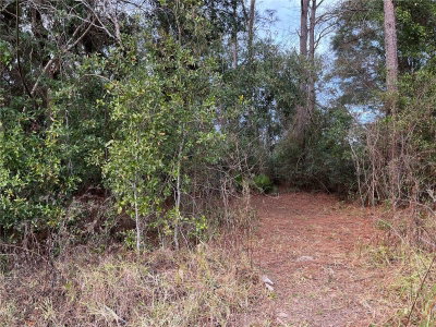 Lots 17 & 18 NW 20TH ST, Ocala, FL, 34482 — photo 2
