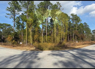 0 SUNSET Avenue, Dunnellon, FL, 34431 — photo 2