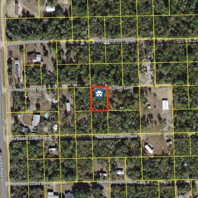 15350 234TH Lane, Fort Mc Coy, FL, 32134 — photo 2