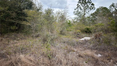 336 PERSHING Avenue, Lake Placid, FL, 33852 — photo 2