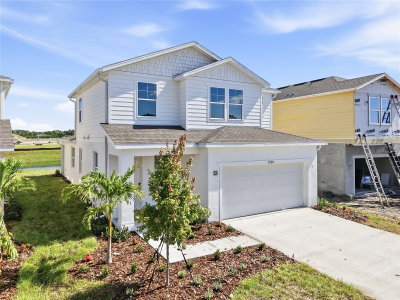 2524 29TH Lane, Palmetto, FL, 34221 — photo 2