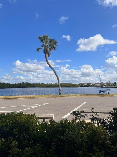 611 DESTINY Drive, Ruskin, FL, 33570 — photo 2