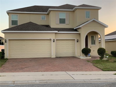 431 ARAGOSA Drive, Davenport, FL, 33837 — photo 2