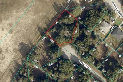 DOGWOOD Trail, Ocala, FL, 34472 — photo 2