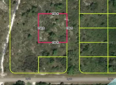 678 BOURBON Street, Lake Placid, FL, 33852 — photo 2